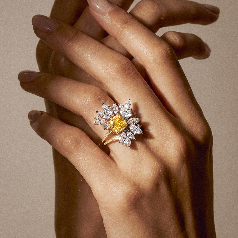 clo_bag_hjo_aur_cou_300_dem_jau_1