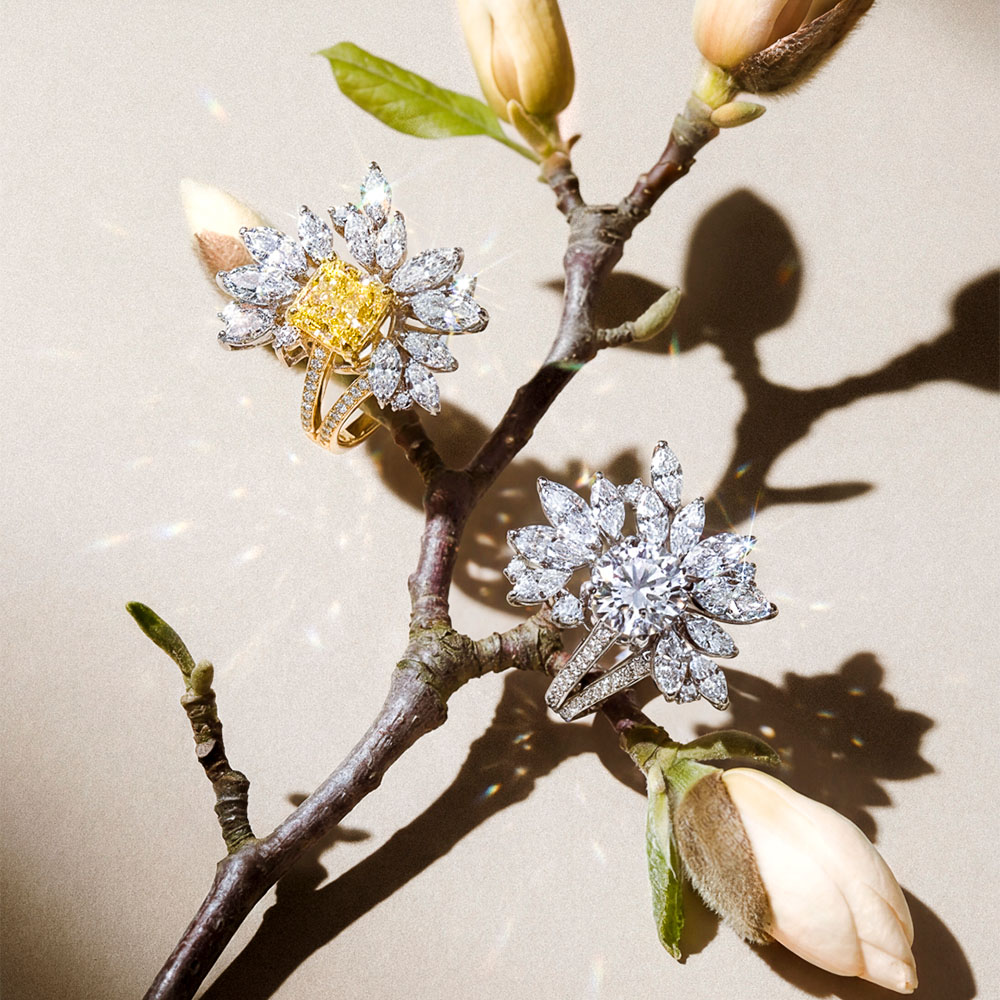 pac_bag_hjo_alb_ron_250_dem_bla_2